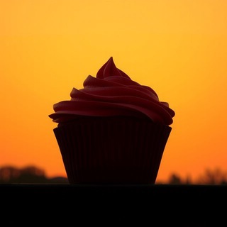 БАШИР ДОХОВ | СОЦИАЛЬНАЯ ДИНАМИКА