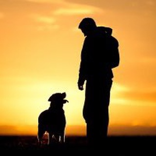 ЗАПИСКИ СОБАКОВОДА