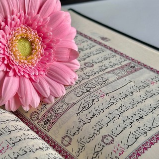 ДНЕВНИК МОИХ МЫСЛЕЙ