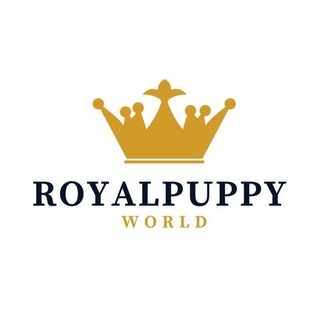 ROYALPUPPYWORLD | ТОЙ-ПУДЕЛЬ • ПОМЕРАНСКИЙ ШПИЦ