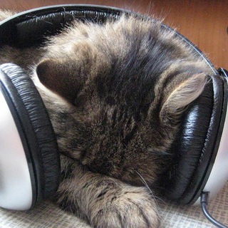 АУДИО КНИГИ ДЛЯ ВЗРОСЛЫХ И ДЕТЕЙ