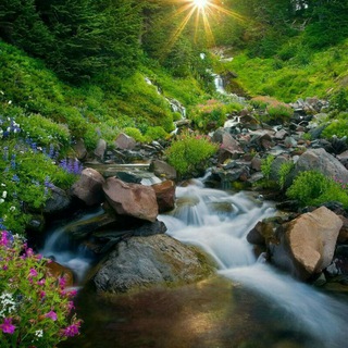 ХРИСТИАНСКИЙ РОДНИК