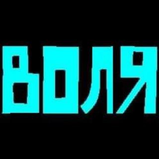 VOLJA