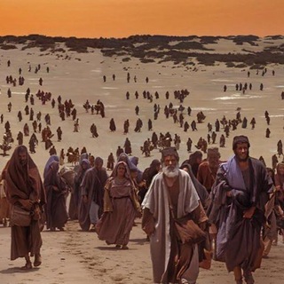 КАНАЛ - ПОСЛЕДНИЙ ИСХОД