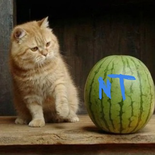 ПРИМЕЧАТЕЛЬНЫЕ ФАКТЫ