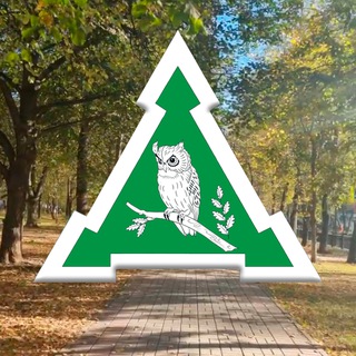 НАШЕ ВИ - ВОСТОЧНОЕ ИЗМАЙЛОВО