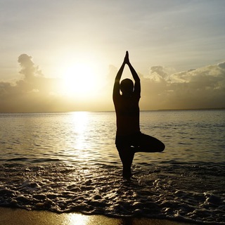 ПП | ЙОГА | ФИТНЕС | ДИЕТЫ