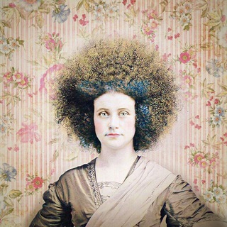 ЧАТ КУДРЯВЫХ