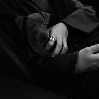 ДНЕВНИК ЧЕРЕПАХИ