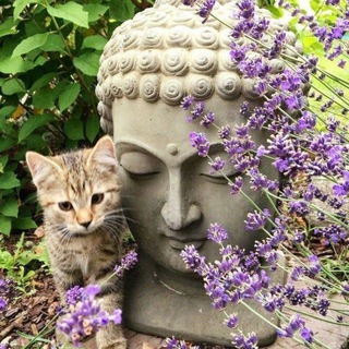 СТРАХ ОДИНОЧЕСТВА