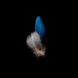 AFS -СХУ (СИНДРОМ ИСТОЩЁННЫХ НАДПОЧЕЧНИКОВ)