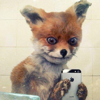 ПРИКОЛЫ  МЕМЫ АНЕКДОТЫ