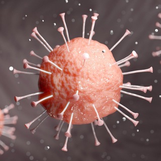 ВИРУСОЛОГИЯ