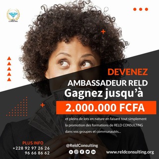  AMBASSADEUR RELD CONSULTING