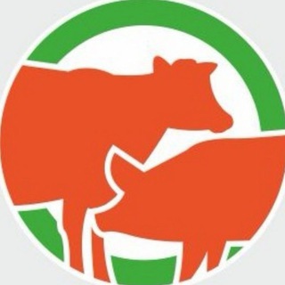 ФОРМУЛА МЯСА