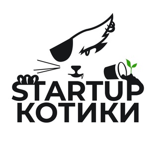 СТАРТАП КОТИКИ