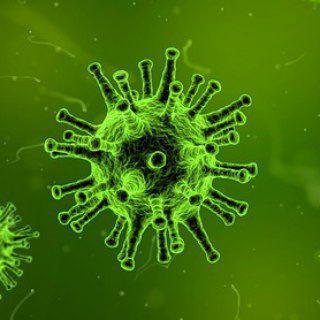 О ПРИВИВКАХ БЕЗ ИСТЕРИК (ЕЛЕНА САВИНОВА)