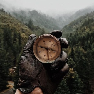 NEXT LEVEL САМОРАЗВИТИЕ