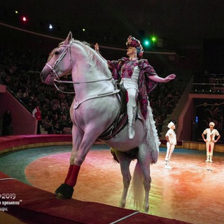 БОЛЬШАЯ ЦИРКОВАЯ КОННАЯ СЕМЬЯ