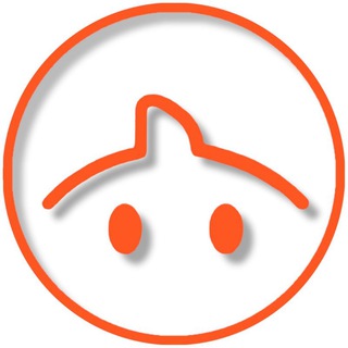ТОВАРЫ ИЗ КИТАЯ|TAO PRO