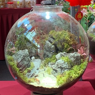 ВОССТАНОВЛЕНИЕ АВТОРСТВА ЖИЗНИ