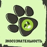 ЭКОСОЗНАТЕЛЬНОСТЬ