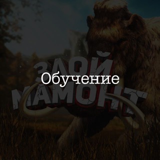 ЗЛОЙ МАМОНТ ОБУЧЕНИЕ