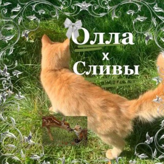 СЛИВЫ ПЛАТНЫХ И ТЕСТИРУЮЩИХСЯ СХЕМ НА АМИГУРУМИ ИЗ БИСЕРА