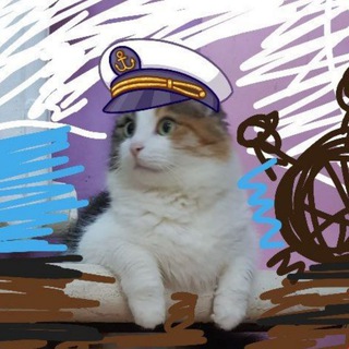 ПУШИСТЫЕ ЖОПКИ