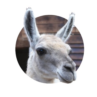 ВЫ В НАУЧПОПЕ!