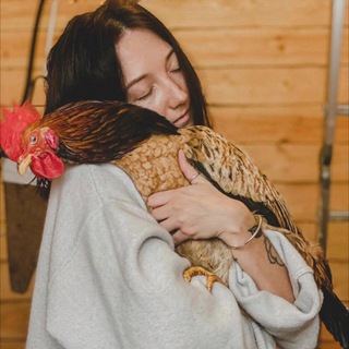 VILLAGE LIFE | СОВРЕМЕННАЯ ДЕРЕВНЯ