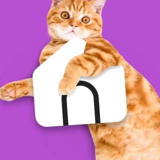 НЕДВИЖИМОСТЬ И КОТИКИ