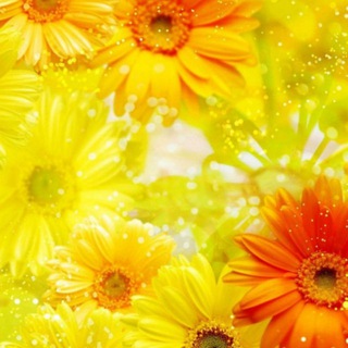 МИССТЕЛЕГРАМ |