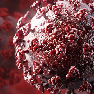 ВРАЧИ РОССИИ | МЕДИЦИНА | КОРОНАВИРУС