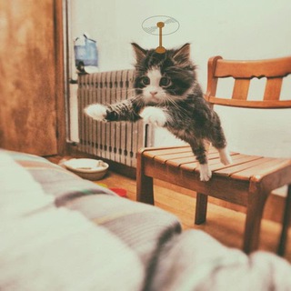 SALTYLEO的博客讨论组!