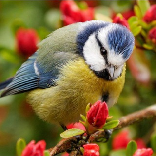 ГУЛЯЕМ В ПАРКЕ. МОСКВА