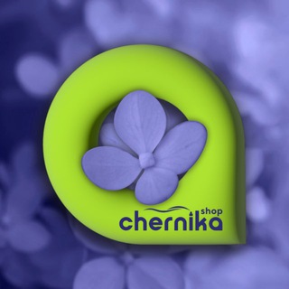 ЧЕРНИКА SHOP СЕТЬ КАЛЬЯННЫХ МАГАЗИНОВ