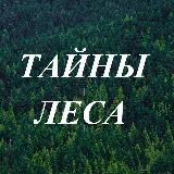 ТАЙНЫ ЛЕСА