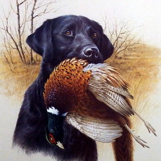 НОЖИ | РЫБАЛКА | ОХОТА