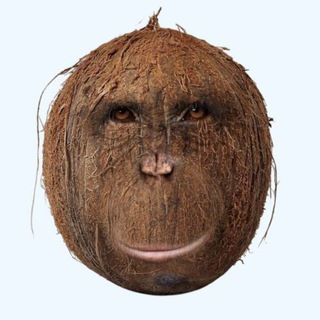 MONKYDEV