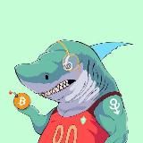 SHARK GALAXY  CRYPTO