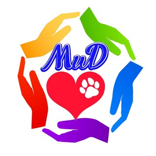 МАЛЕНЬКИЕ СОБАЧКИ ИЩУТ ДОМ