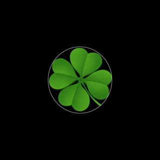 ЛАСТОЧКА CHAT (MINTER)