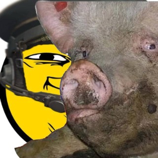 ЛИБЕРТАРДИАНСКОЕ РАЗВЕДЫВАТЕЛЬНОЕ БЮРО.