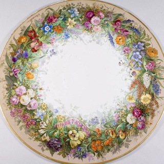 РУССКОЕ ОБЩЕСТВО ЛЮБИТЕЛЕЙ БОТАНИЧЕСКОЙ ИЛЛЮСТРАЦИИ