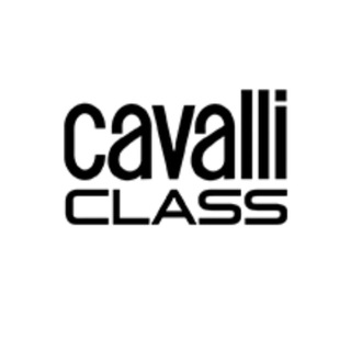 СУМКИ CAVALLI CLASS