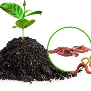 СЕКРЕТФЕРМЫ КФХ VERMILIFE