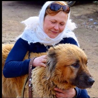 ПРИЮТ «ВАНЕЧКА» (ЧАТ)