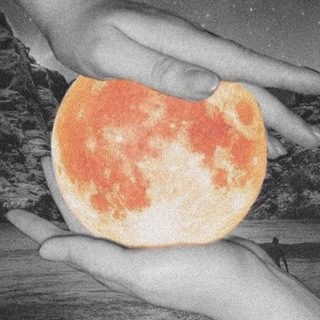 ЧЕЧЕНСКИЕ НОВЫЕ ПЕСНИ (2023)