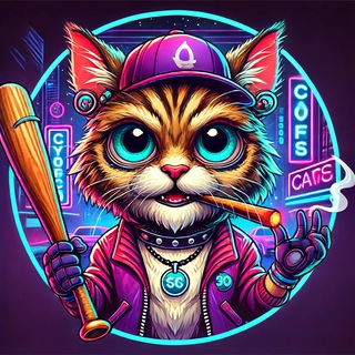 КОТЫ - КОТИКИ